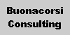 Buonacorsi Counsulting Web Site